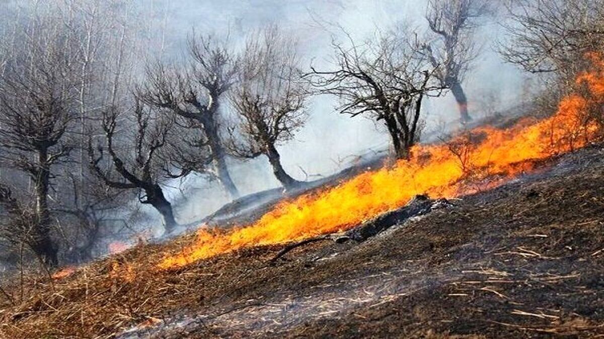 مسئول منطقه حفاظت‌شده «دالانکوه» از اطفای حریق دو هکتار از مراتع ییلاقی این منطقه خبر داد.