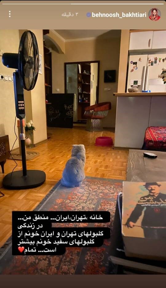 استوری جنجالی «بهنوش بختیاری» درباره مهین پرستی + عکس