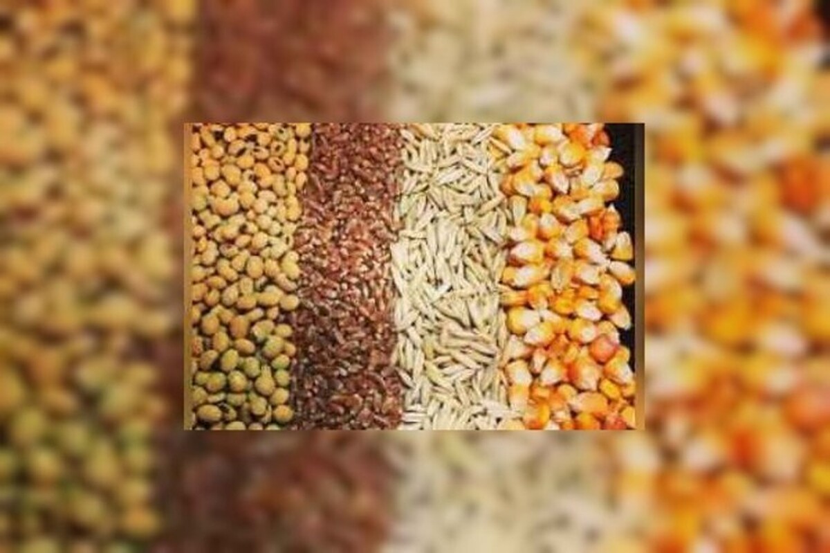 سقف قیمت جدید ارزی و مصوب نهاده‌های دامی، روغن و شکر خام توسط معاونت توسعه بازرگانی وزارت جهاد کشاورزی اعلام شد.
