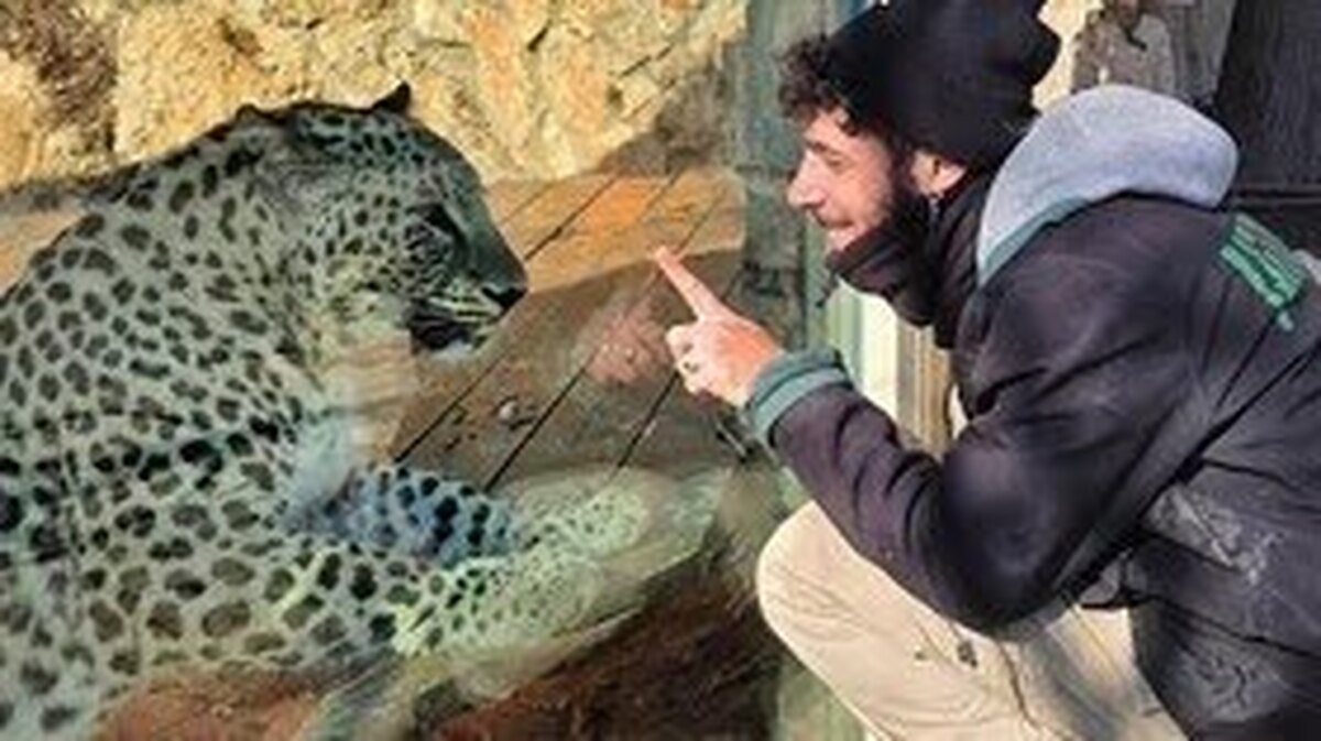 یک پلنگ ایرانی نادر که اوایل سال جاری به اراضی اشغالی آورده شده بود، با حمله به نگهبان باغ وحشی در قدس، او را به درک واصل کرد.