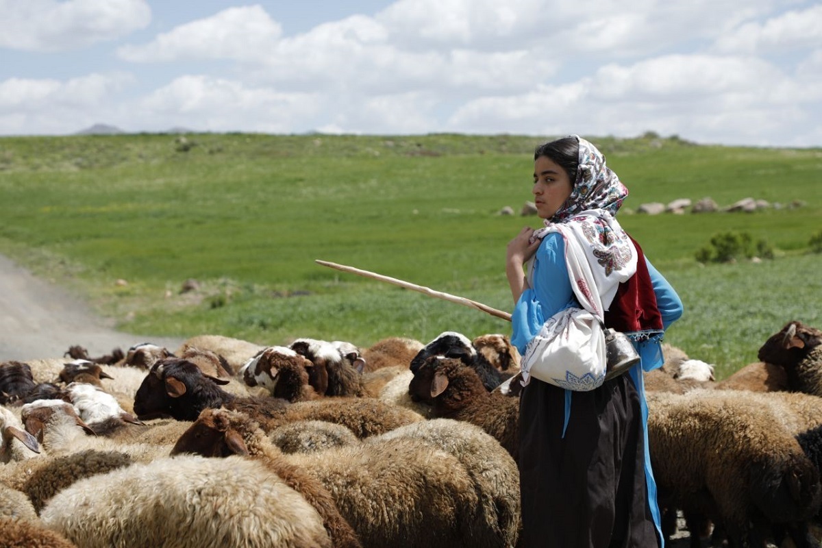فیلم کوتاه «دشت می‌خواند» به بخش مسابقه جشنواره بین‌المللی فیلم دلا لسینیا راه یافت.