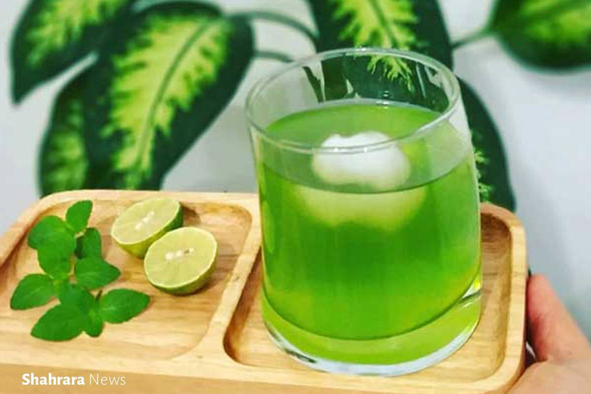 یکی از خوش‌مزه‌ترین و پرفایده‌ترین خوراکی‌ها در گرمای تابستان، شربت خنک است. امروز می‌خواهیم درباره‌ی خواص «شربت آب‌لیمونعنا» یا به‌قول امروزی‌ها «موهیتو» و شربت تخم‌شربتی صحبت کنیم.