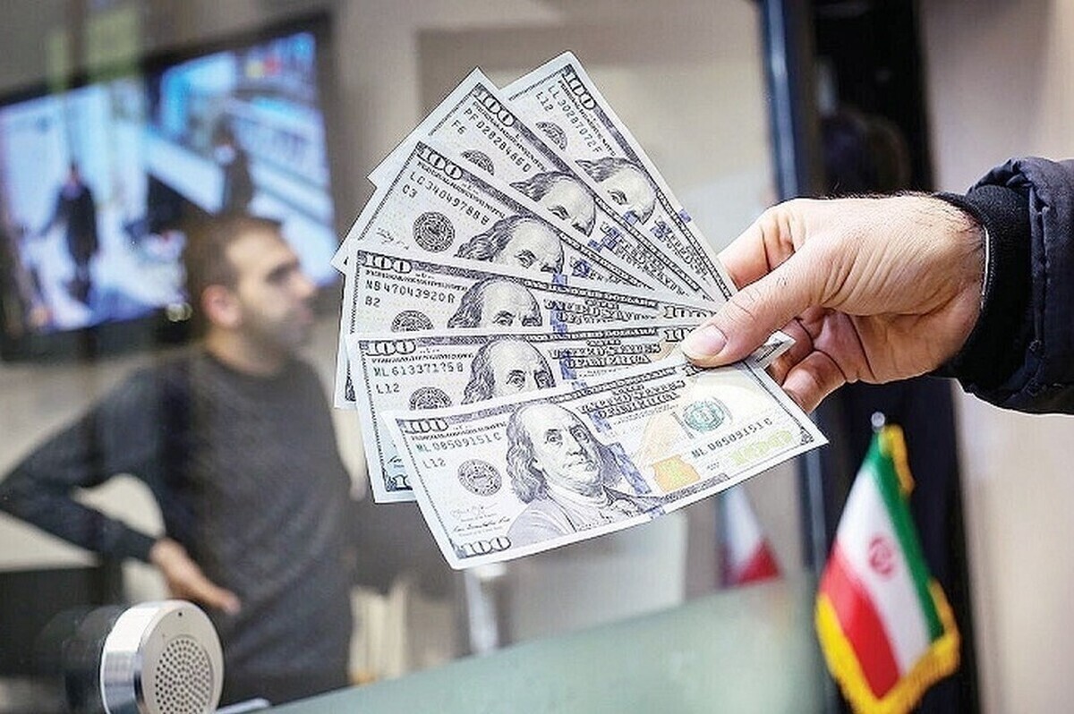 عضو کمیسیون برنامه و بودجه مجلس شورای اسلامی گفت: به‌تازگی چند برادر افغانستانی گزارش دادند که ۱۷۰۰ شرکت با سرمایه‌گذاری خارجی از ایران خارج شده‌اند. شهرک صنعتی هرات که فاز اولش به‌سختی پُر شده بود، اکنون هر ۵ فاز آن تکمیل شده و علت این اتفاق همین محدودشدن فعالیت صرافی‌ها و واقعی‌نبودن نرخ ارز در مرکز مبادله است.