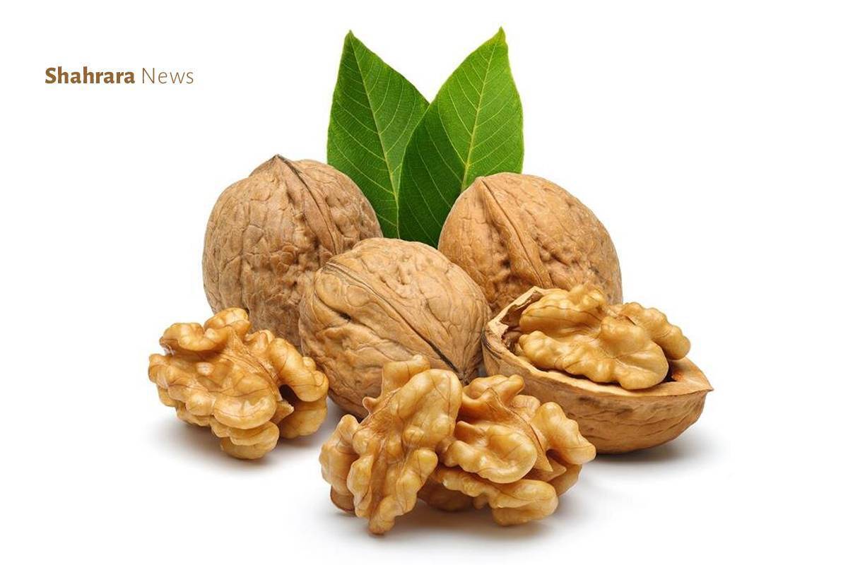 برای داشتن استخوان‌هایی محکم و مغزی سالم و همیشه‌ آماده، نباید از خوردن کنجد در غذاهایتان غافل شوید. یادتان باشد تکه‌های گردو را هم کنار ماست یا پنیر حتما بخورید.