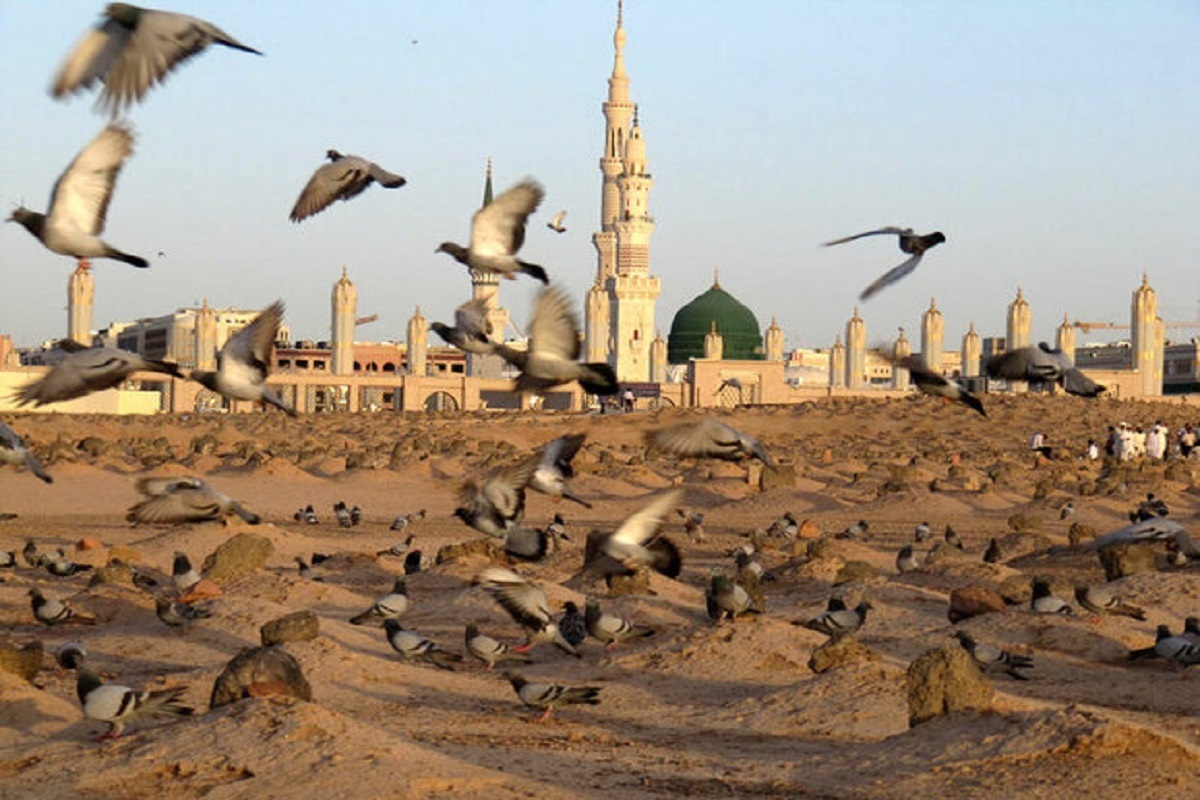تاریخ شهادت امام حسن مجتبی (ع) هفتم یا ۲۸ ماه صفر است؟