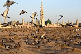 تاریخ شهادت امام حسن مجتبی (ع) هفتم یا ۲۸ ماه صفر است؟
