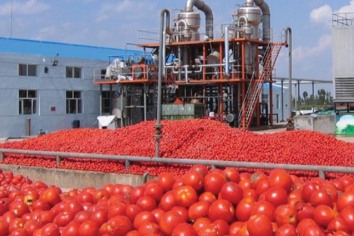 قطع برق برخی از صنایع غذایی با وجود مصوبه ستاد انرژی خراسان رضوی همچنان ادامه دارد