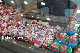 دست دلالان از بازار مرغ خراسان رضوی کوتاه شد