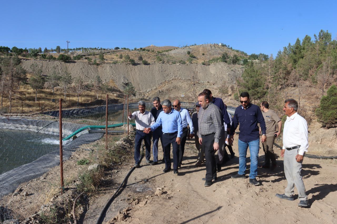 تامین آب مورد نیاز برای آبیاری کمربند سبز جنوبی از بند گلستان تامین آب مورد نیاز برای آبیاری کمربند سبز جنوبی از بند گلستان