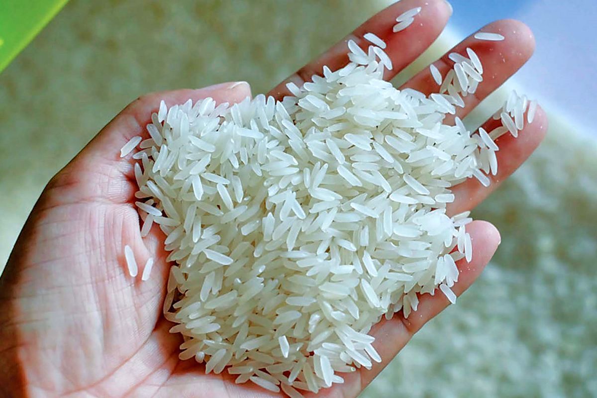 آقاجانیان، عضو انجمن تولیدکنندگان برنج ایران گفت: قیمت برنج ایرانی نهایت تا دو هفته آینده به ۲۷۰ تا ۲۸۰ هزار تومان می‌رسد. اگر نرخ ارز ترجیحی از واردات برنج خارجی حذف شود قیمت این برنج هم افزایشی خواهد شد.