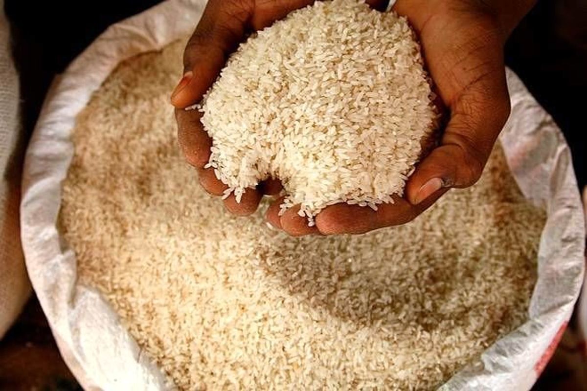 نایب‌رئیس شورای مرکزی مجمع ملی کشاورزی می‌گوید: «سرنوشت یک میلیون تن برنج وارداتی مشخص نیست و کسی هم در مورد آن پاسخی نمی‌دهد.» اظهارات این مقام مسئول را می‌بینید و می‌شنوید.