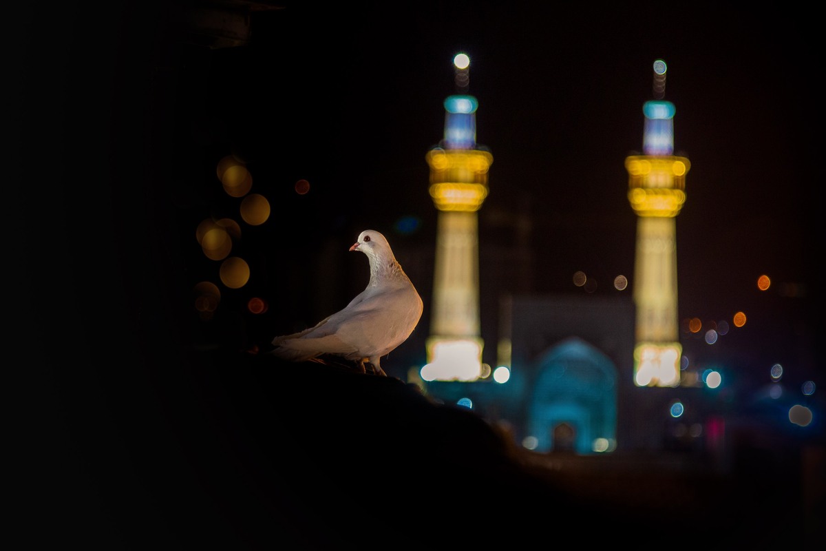 ۳۵ سال پیوستگی شعر آیینی در حرم مطهر امام رضا (ع)