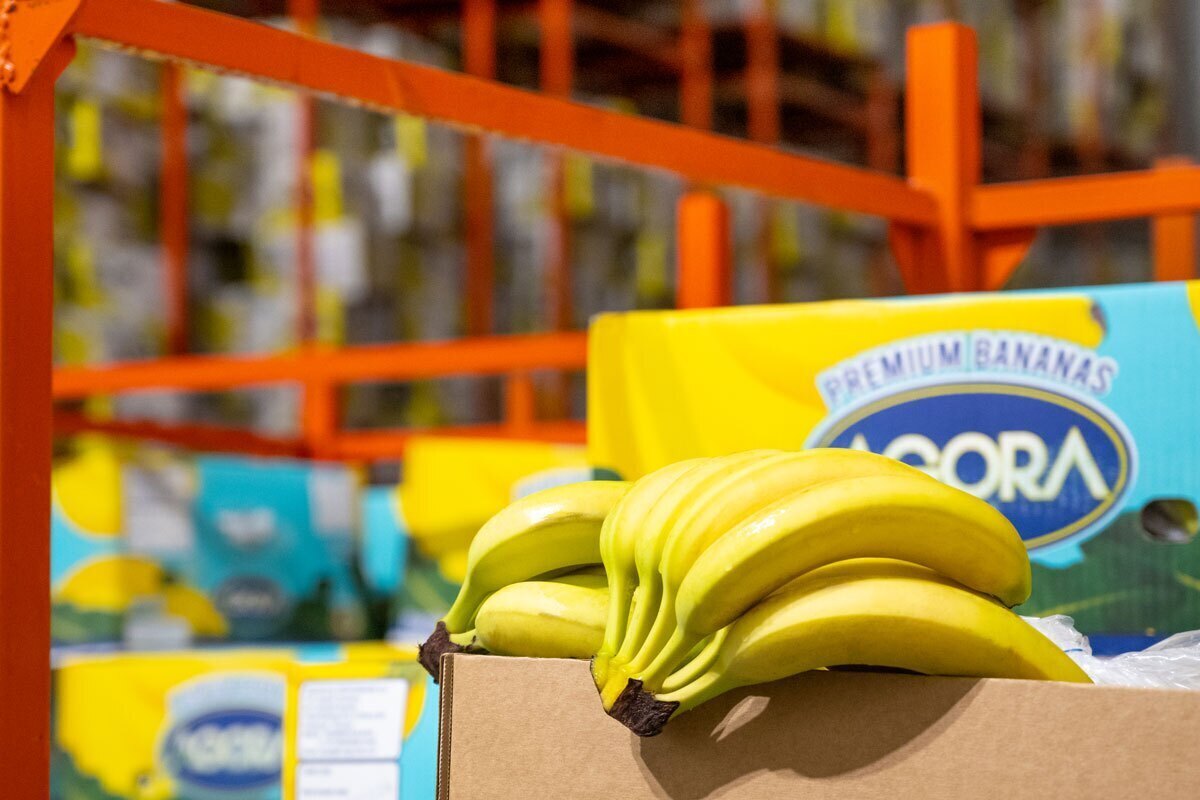 اتحادیه بارفروشان مشهد قیمت عمده‌فروشی انواع میوه و صیفی‌جات در میادین تره‌بار را اعلام کرد.