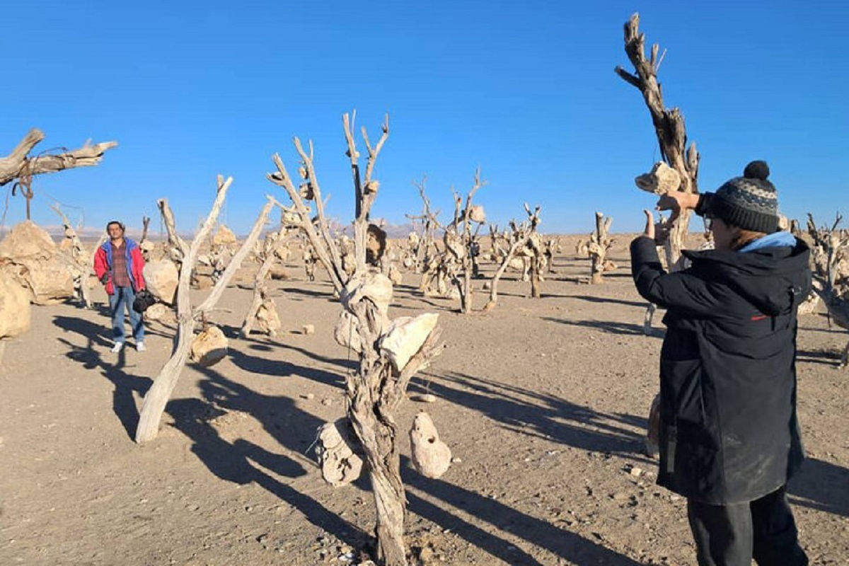 فیلم کوتاه «باغ بهشت» ایرانی در راه انگلیس