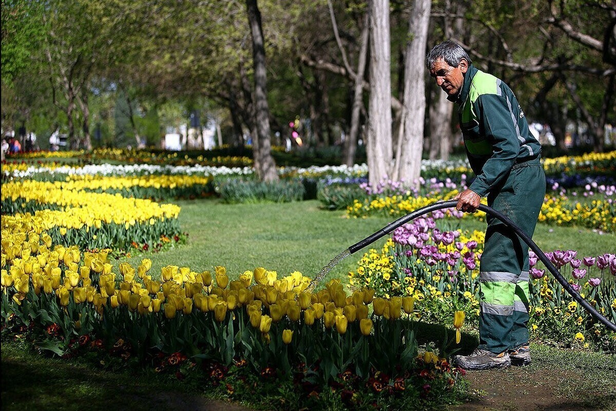 شهردار مشهد مقدس خبر داد: استفاده سالانه ۱۱.۲ میلیون متر مکعب پساب برای آبیاری فضای سبز شهر مشهد