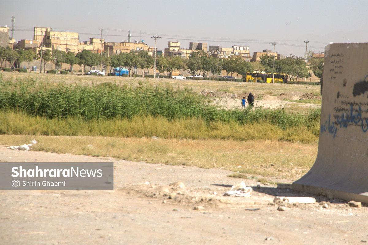 اقدامات گسترده شهرداری برای مقابله با پشه خاکی، تعداد مبتلایان را در یک سال اخیر بیش از ۳۰ درصد کاهش داده است.