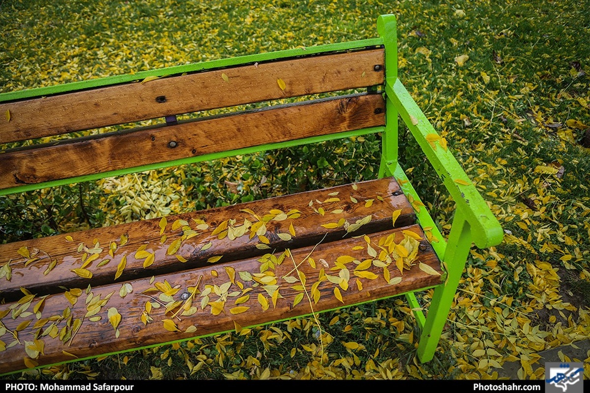 رئیس مرکز ملی پیش‌بینی و مدیریت بحران مخاطرات وضع هوای سازمان هواشناسی از افزایش ابر گاهی رگبار و رعد و برق همچنین وزش باد شدید طی پنج روز آینده برای برخی نقاط کشور خبر داد.