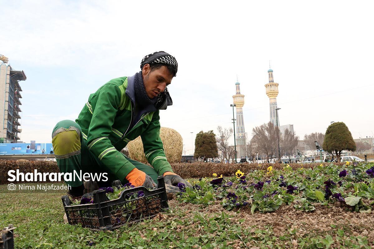 پاکسازی و بازپیرایی فضای سبز آسیب‌دیده مشهد پس از برگزاری مراسم شام غریبان