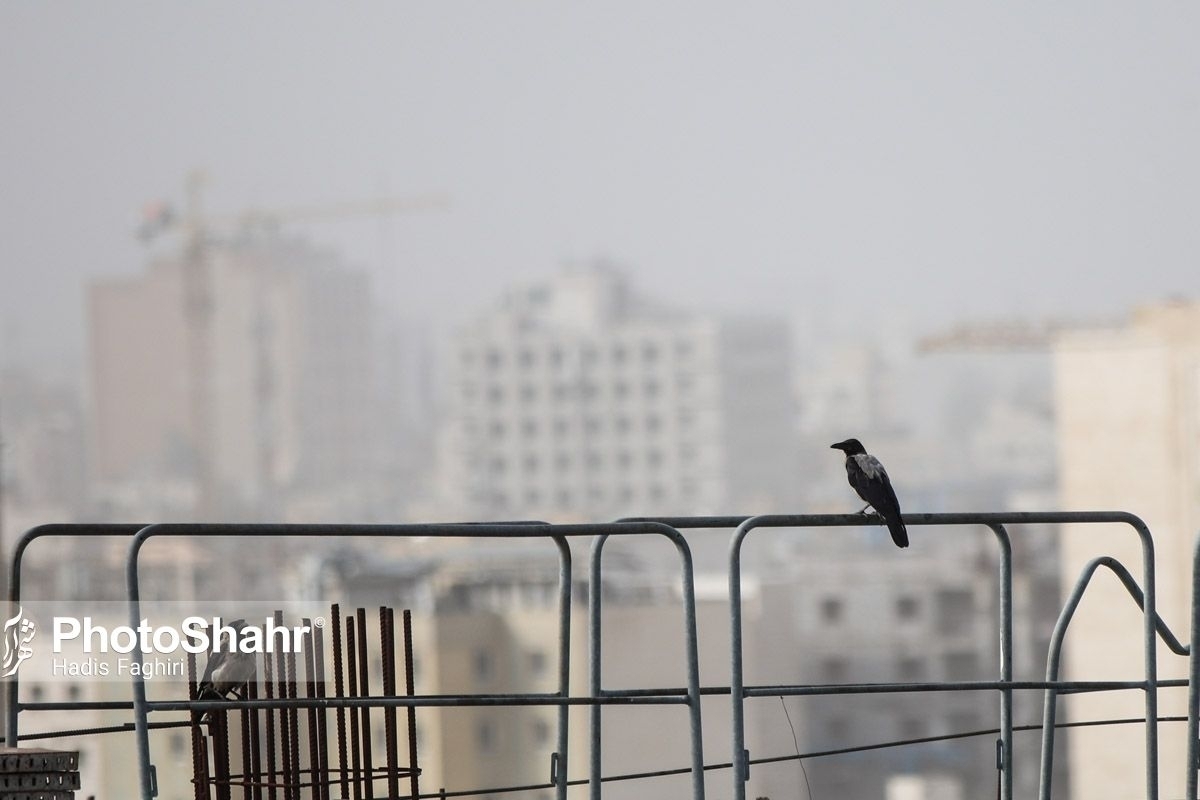 مشهد برای دهمین روز متوالی با آلودگی هوا دست‌وپنجه نرم می‌کند.