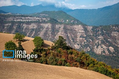 گزارش تصویری | خشکسالی در جنگل‌های هیرکانی گلستان