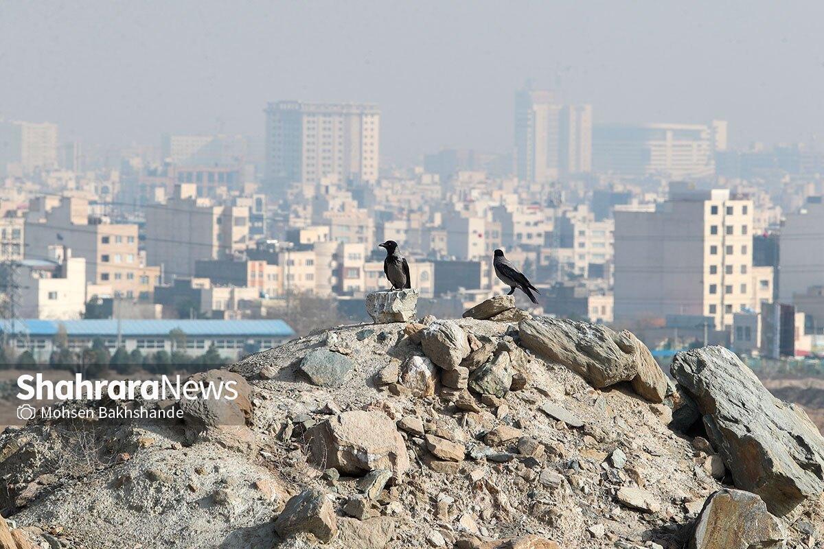 ثبت یک روز آلوده دیگر در مشهد (۲۲ شهریور ۱۴۰۴)