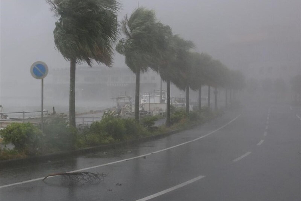 ویدئویی از وزش باد شدید در حاجی‌آباد هرمزگان را مشاهده می‌کنید؛ این طوفان خسارت زیادی به محصول خرمای این منطقه وارد کرده است.