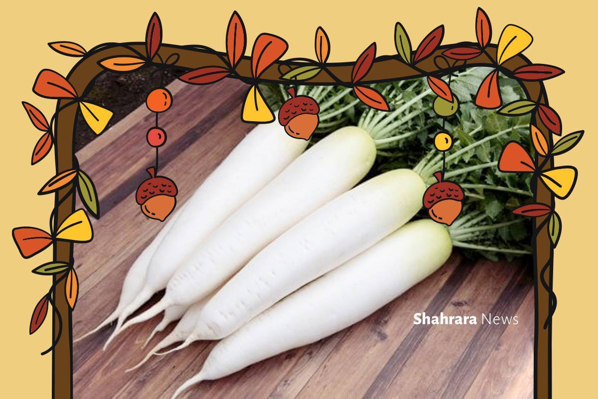 بچه‌های عزیز استفاده از میوه‌ها و سبزیجات و خوردنی‌های سالم راز همیشگی سلامتی ماست، پس همیشه تمامی محتویات ظرف سبزیجات و سالاد خود را بخورید.