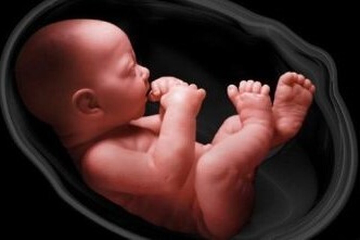 یک محقق ایرانی روشی ابداع کرده که می‌تواند برای حل مشکل ناباروری زوج‌ها موثر باشد؛ او با ساخت مدل آزمایشگاهی جنین انسان از سلولهای بنیادی بررسی فرایند تکوین جنین را ممکن کرده است.