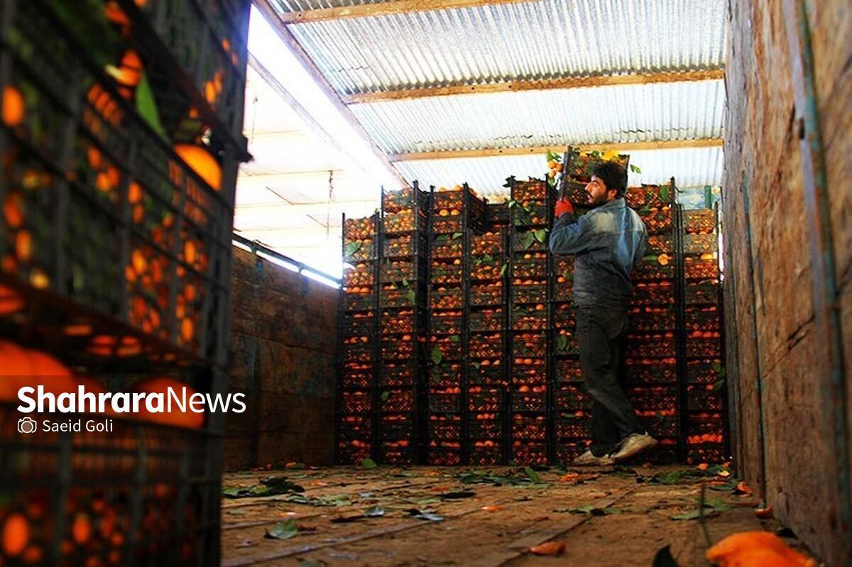 اتحادیه بارفروشان مشهد قیمت انواع میوه و صیفی‌جات به صورت عمده‌فروشی در میادین تره‌بار را اعلام کرد.