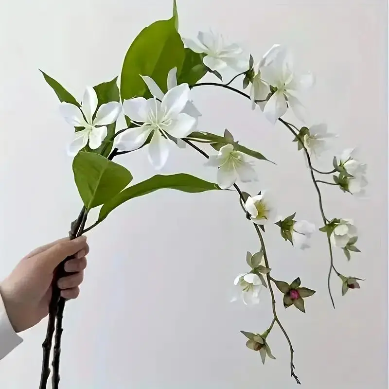 ۷ گیاه آپارتمانی که عشق را به خانه میآورند گل یاس