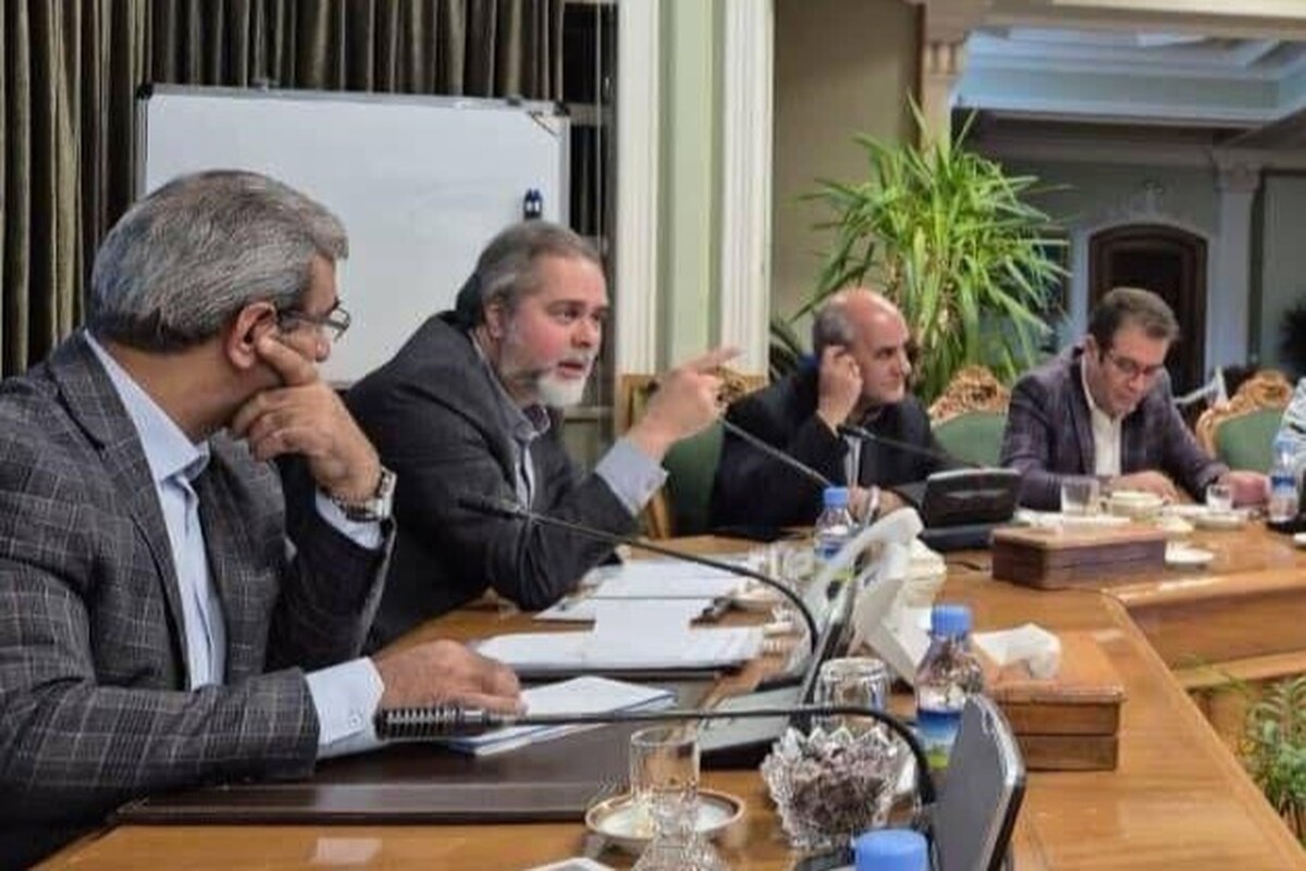 رائد فریدزاده از تأسیس صندوق توسعه سینما در استان‌ها خبر داد