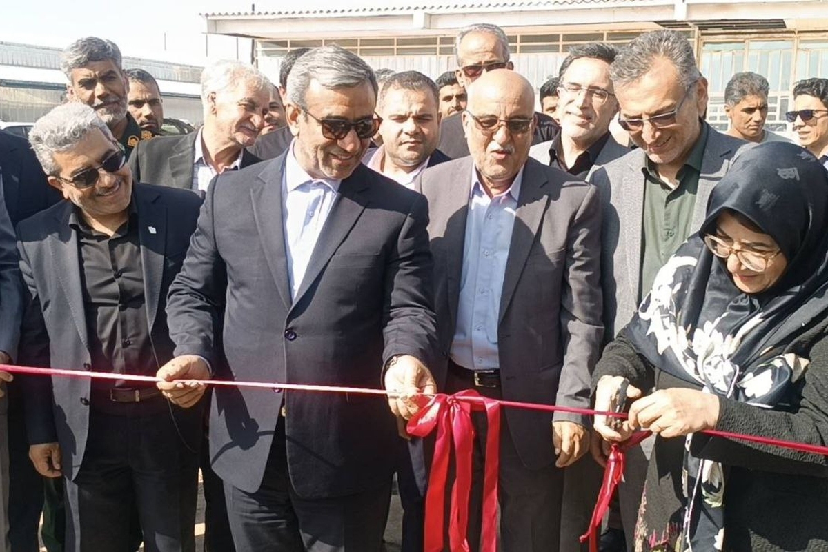 همزمان با هفته دولت از ۸ پروژه بزرگ برق رسانی شهری و روستایی خراسان رضوی بهره‌برداری می‌شود