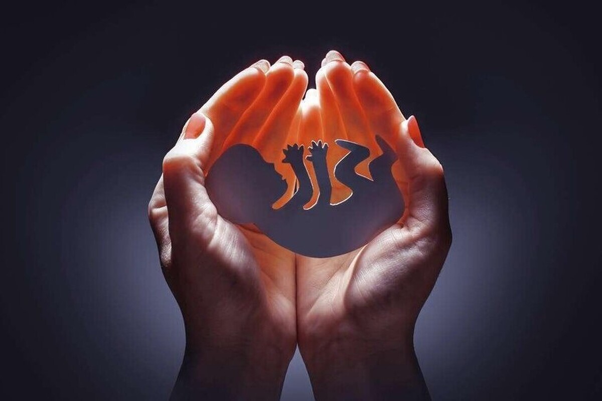 دبیر ستاد ملی جمعیت گفت: در پیمایش‌های پیشین نیز دلایل اصلی سقط عمدی شامل «نخواستن فرزند»، «نامناسب بودن زمان بارداری»، «مشکلات جسمی مادر»، «بارداری در دوران عقد»، و «ادامه تحصیل یا از دست دادن شغل» بوده است؛ مسائلی که به گفته وی نیازمند سیاست‌گذاری ترکیبی از حمایت اجتماعی، سلامت روان، مشاوره و حمایت اقتصادی است.