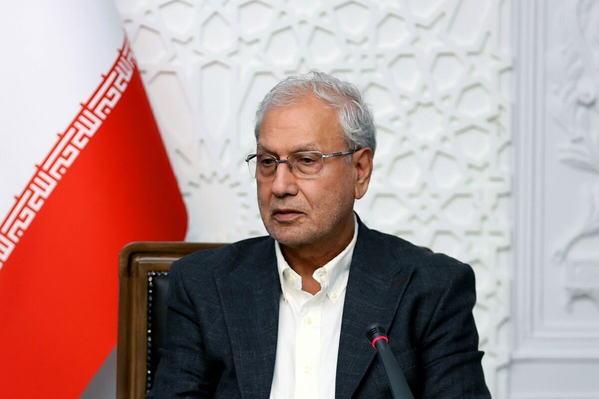 ربیعی: عبور از شرایط فعلی با عقلانیت، مقاومت اجتماعی و تقویت نهادهای مدنی ممکن است