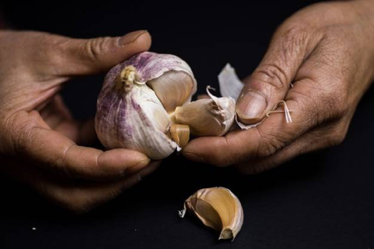 اتحادیه بارفروشان مشهد قیمت انواع میوه و صیفی‌جات به صورت عمده‌فروشی در میادین تره‌بار را اعلام کرد.