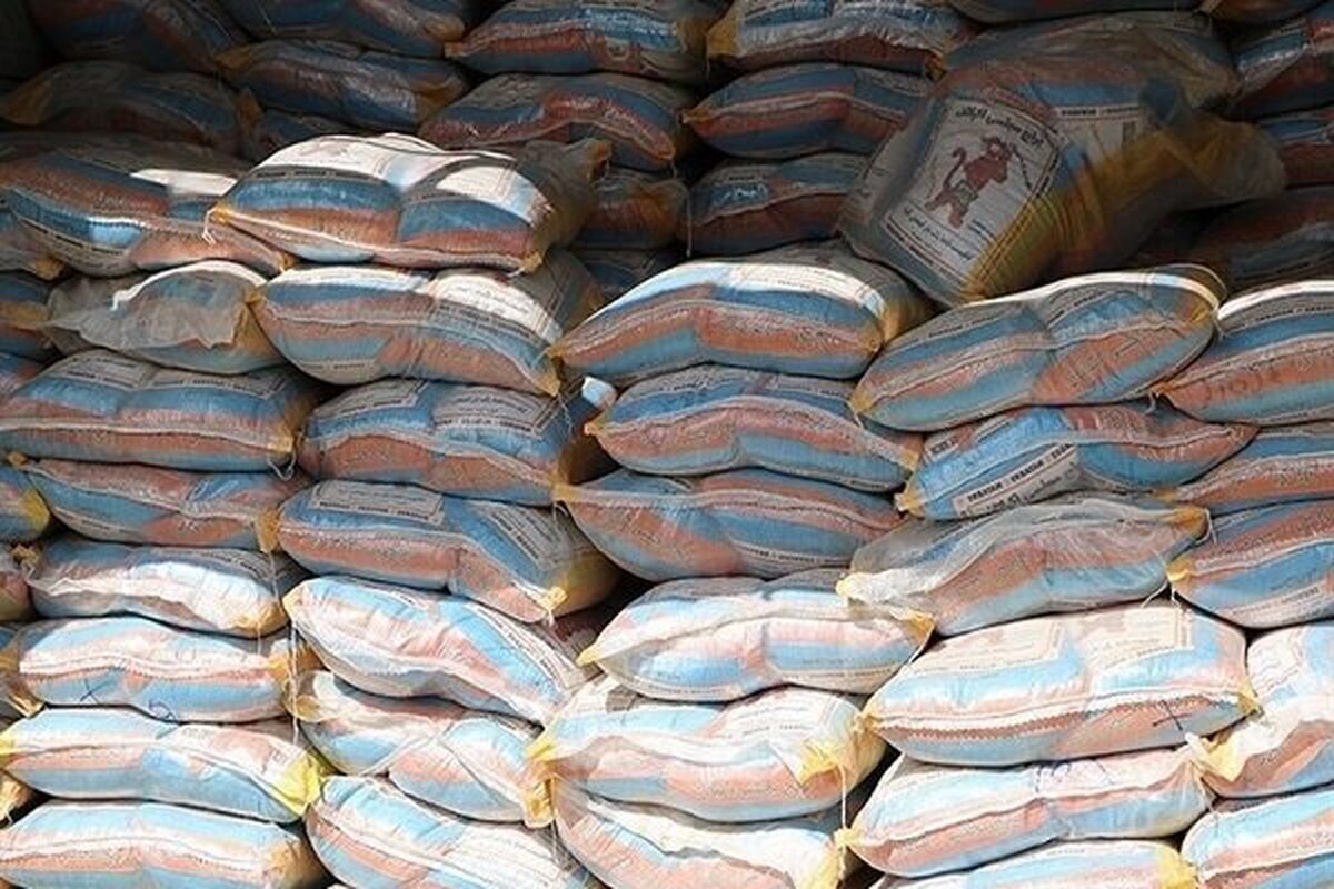 ممنوعیت واردات برنج در فصل برداشت غیرقانونی اعلام شد