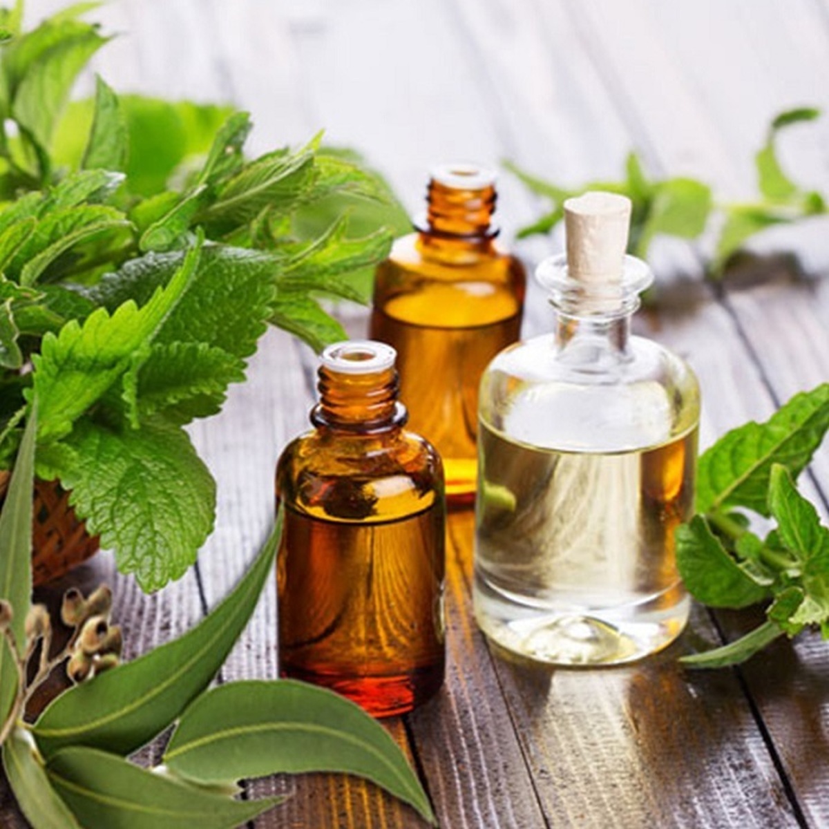 دفتر بهبود تغذیه جامعه وزارت بهداشت، درمان و آموزش پزشکی، باور عمومی مبنی بر اینکه می‌توان در دوران بارداری به جای مصرف مکمل آهن از عرق یونجه یا شربت سه‌شیره استفاده کرد را کاملاً نادرست و بدون پشتوانه علمی دانست.