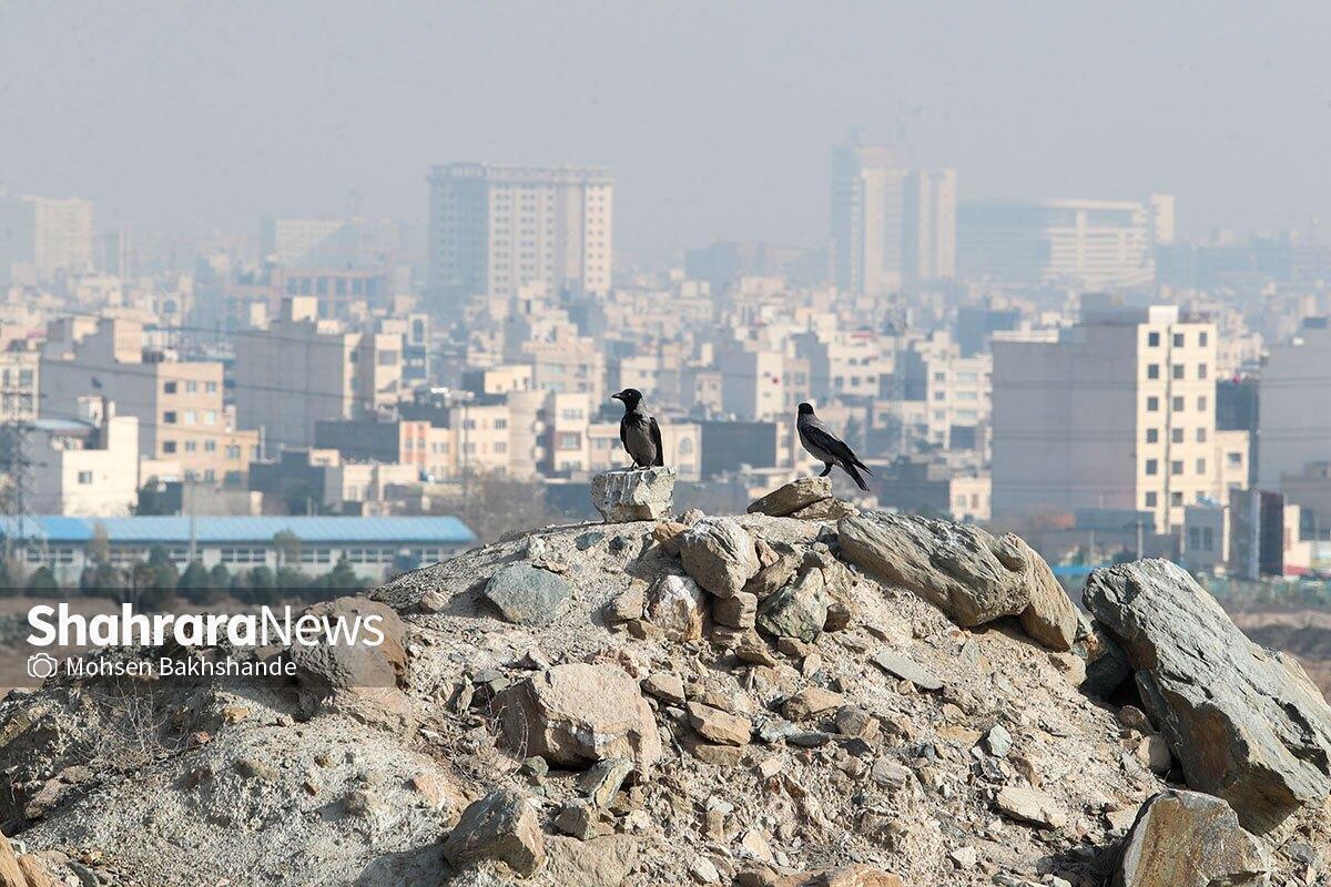 هوای شهر در شرایط ناسالم برای گروه‌های حساس قرار گرفت که شاخص کیفیت هوا با عدد ۱۱۰، زنگ هشدار آلودگی را به صدا درآورد.