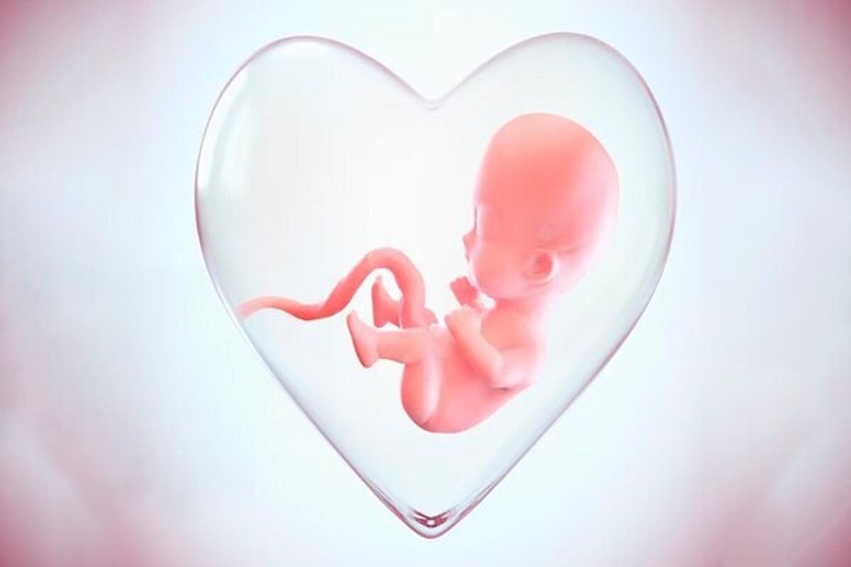 دفتر بهبود تغذیه جامعه وزارت بهداشت، در پاسخ به برخی باور‌های نادرست تغذیه‌ای گفت: قند‌های ساده یا نوشیدنی‌ها شیرین باعث وزن‌گیری سالم جنین نمی‌شوند.