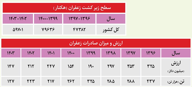 کاهش ۵۵ درصدی ارزش صادرات طلای سرخ در ۷ سال گذشته | صادرات زعفران در مسیر سقوط کاهش ۵۵ درصدی ارزش صادرات طلای سرخ در ۷ سال گذشته | صادرات زعفران در مسیر سقوط