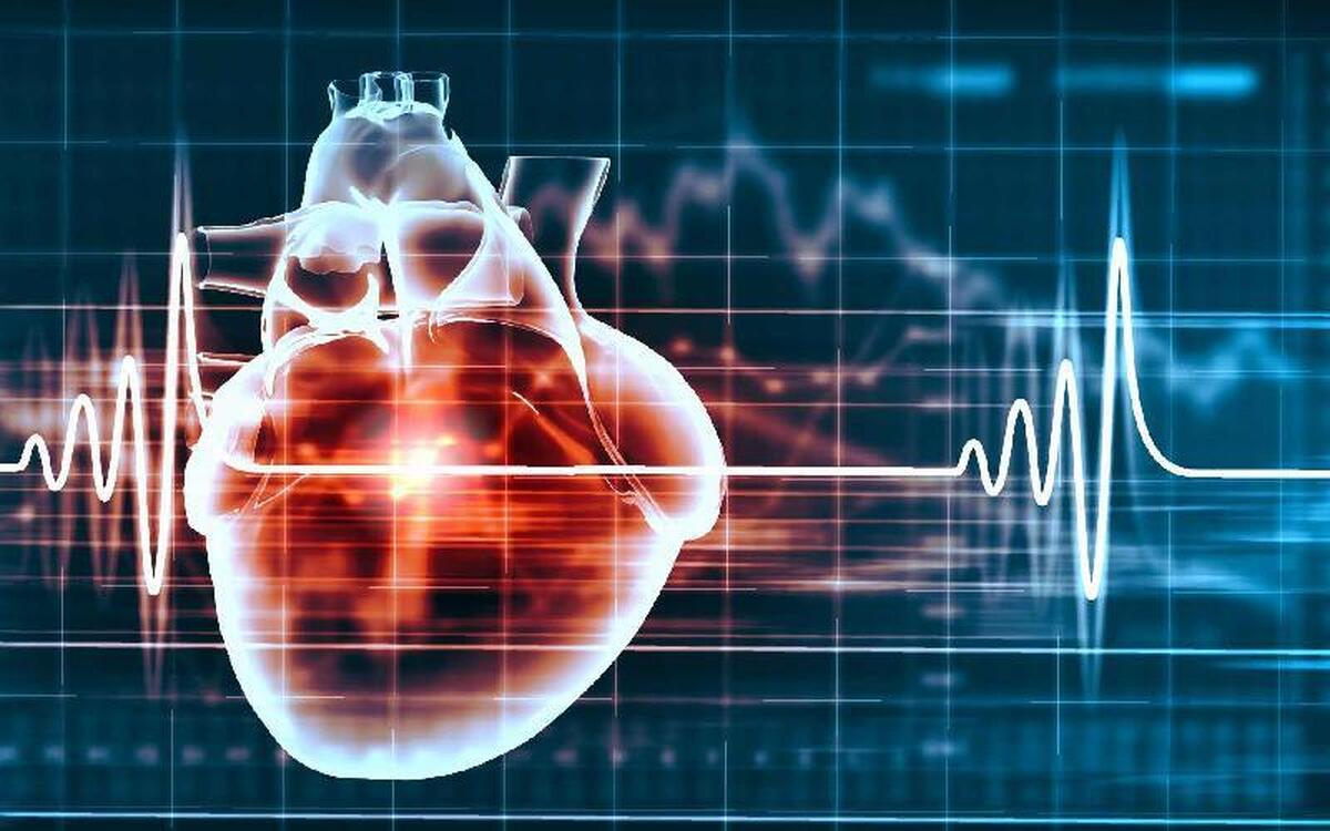 متخصص قلب و عروق و عضو هیأت علمی دانشگاه علوم پزشکی شیراز، گفت: افراد سالم برای پیشگیری از بیماری‌های قلبی و شناسایی به موقع مشکلات قلبی، هر پنج سال یک بار، چکاپ «معاینات دوره‌ای» قلب انجام دهند.