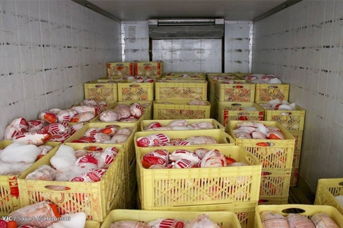 کشف ۱۵۰۰ کیلوگرم مرغ منجمد و ۳۴ تن برنج وارداتی در مشهد (۱۲ مهر ۱۴۰۴)