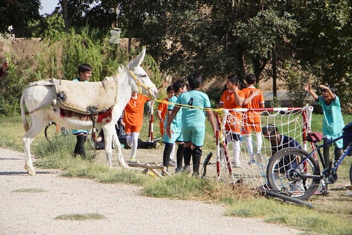 تهیه‌کننده فیلم «سفید برفی» گفت: متأسفانه شاهدیم برخی خانواده‌ها با پرداخت هزینه، به دنبال فرصت‌های بازیگری برای فرزندانشان هستند. این رویکرد بدون آموزش حرفه‌ای می‌تواند هم به کیفیت آثار سینمایی و هم به خود کودکان لطمه بزند.
