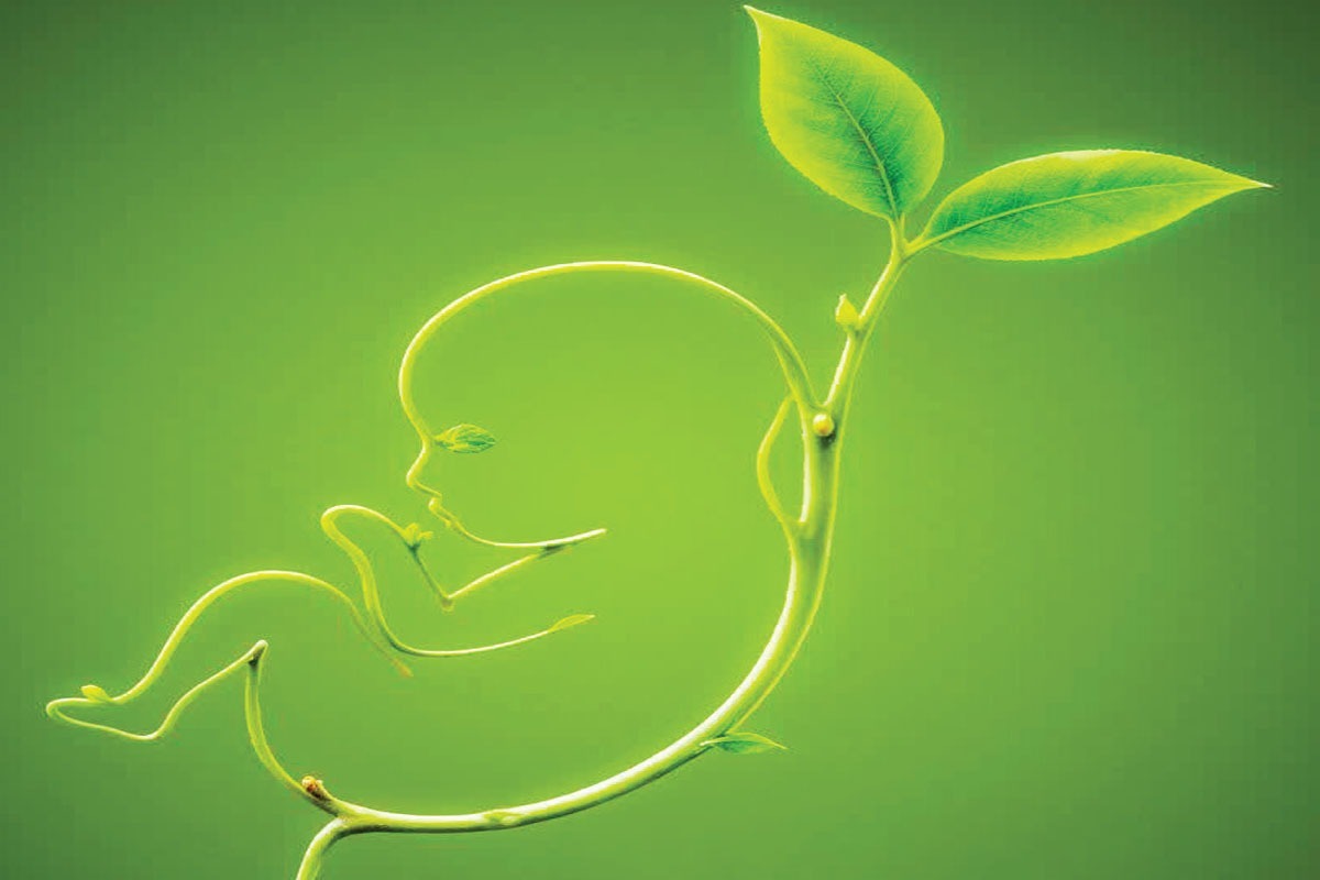 درباره طرح «کارت امید مادر» با وعده حمایت نقدی از مادران دارای نوزاد | بیم و امید‌های «امید مادر»