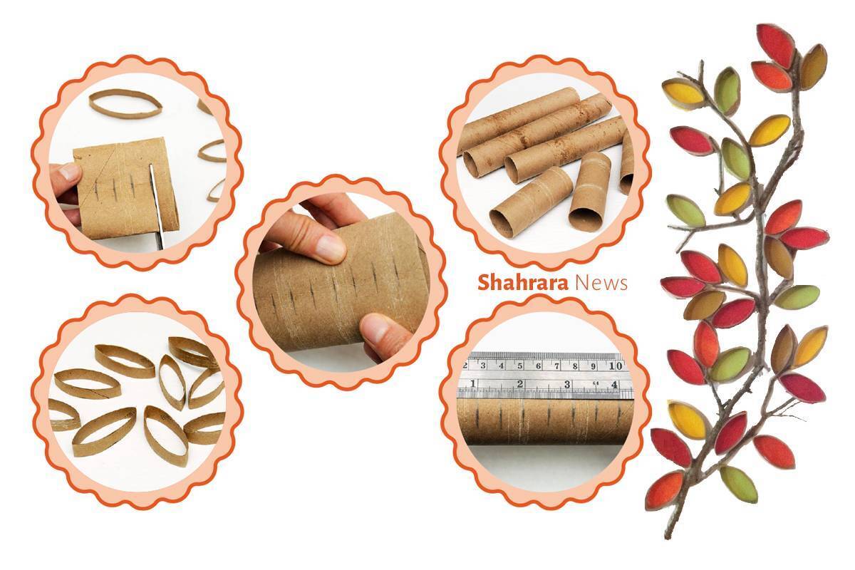 زمانی که دستمال کاغذی‌ها تمام می‌شود، لوله‌های مقوایی وسط آن را در کیسه‌ی زباله‌های خشک می‌اندازید؟ دست نگه دارید!