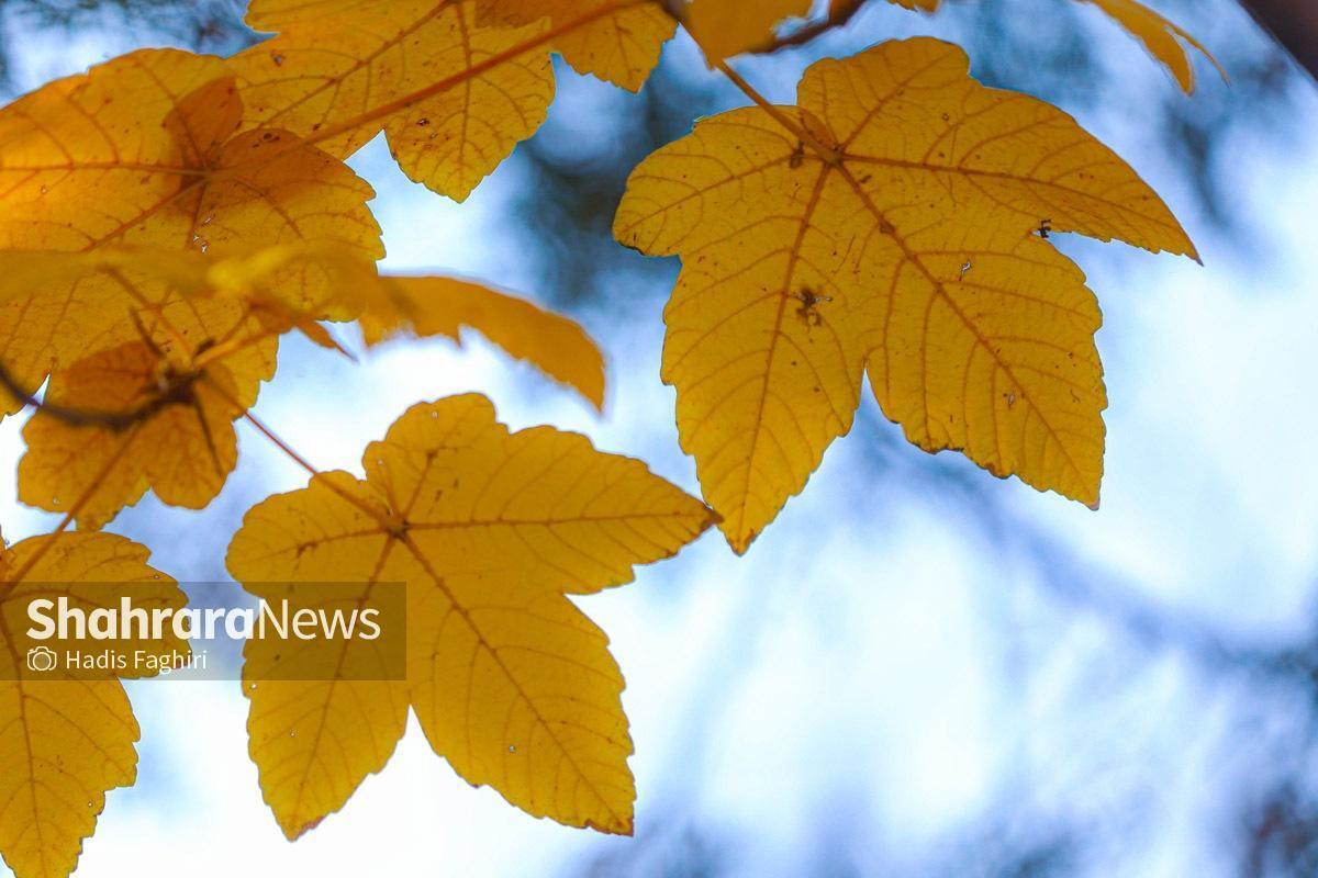 کارشناس اداره هواشناسی خراسان رضوی گفت: از امروز تا پایان هفته‌ جاری، جوی پایدار همراه با افزایش تدریجی دما بر استان حاکم است.