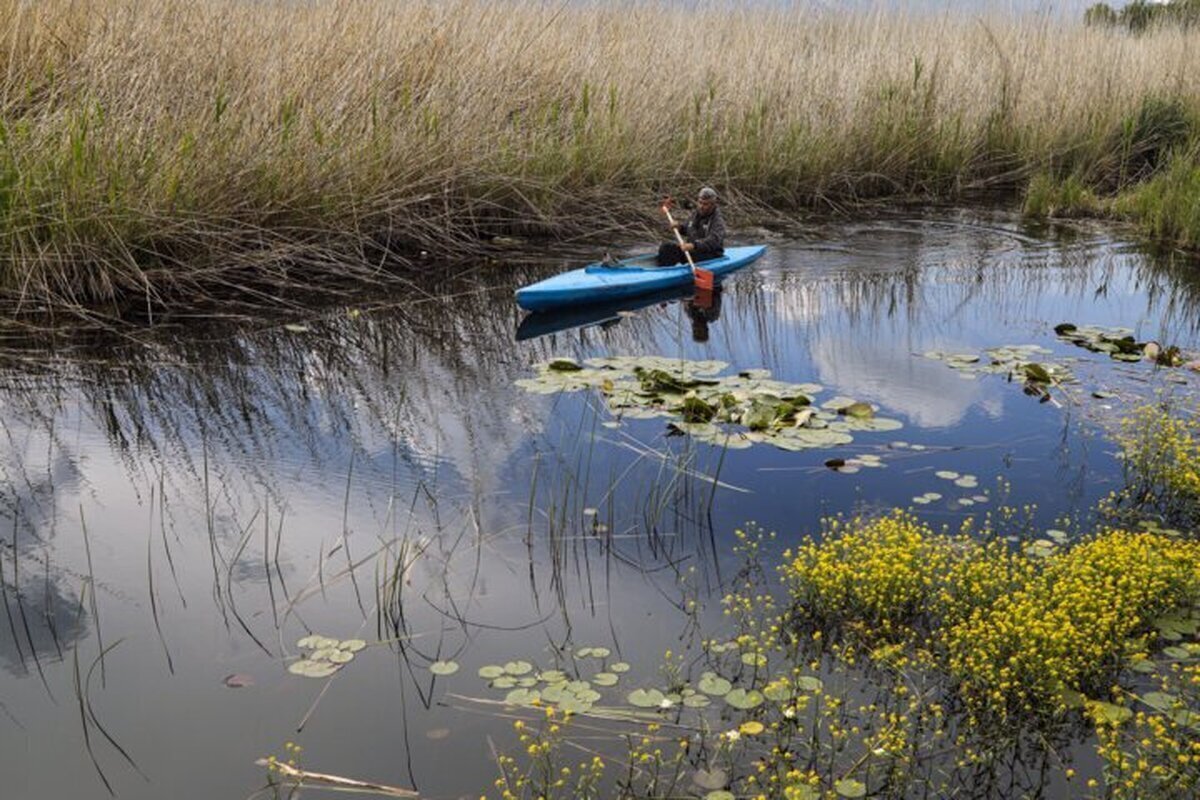 تالاب بندون در معرض خشکی | تأمین آب تالاب از طریق سد کارون