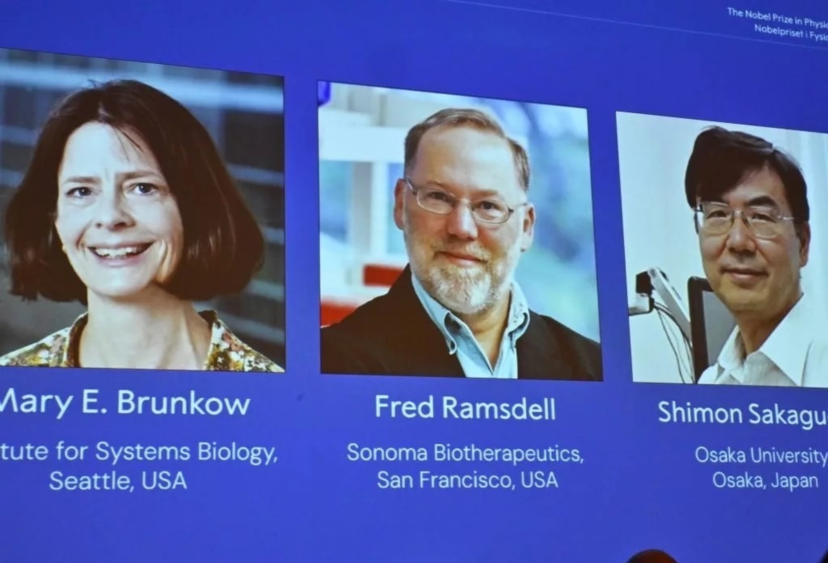 برندگان جایزه نوبل پزشکی ۲۰۲۵ معرفی شدند: کاشفان سلول‌های تنظیم‌کننده سیستم ایمنی بدن