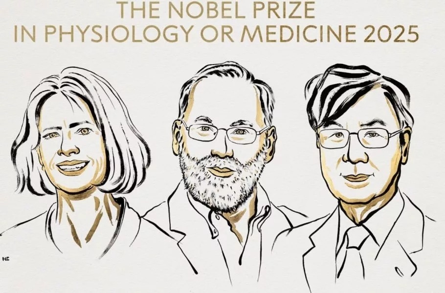 برندگان جایزه نوبل پزشکی ۲۰۲۵ معرفی شدند: کاشفان سلولهای تنظیمکننده سیستم ایمنی بدن برندگان جایزه نوبل پزشکی ۲۰۲۵