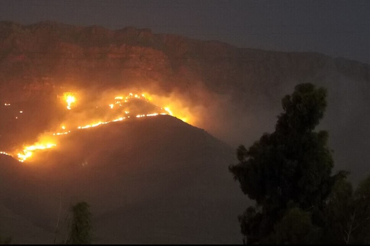 مدیرکل منابع طبیعی و آبخیزداری ایلام اعلام کرد که برآورد‌های نخستین نشان می‌دهد ۱۰ تا ۱۲ هکتار از عرصه‌های طبیعی تنگه رازیانه شهرستان بدره در آتش سوخته است.